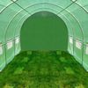 Greenhouse 3,5 x 2 metry Bluegarden