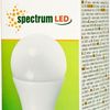 LED Light bulb Warm E-27 230V 15W 13113