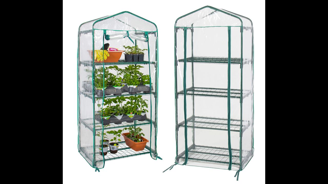 Mini Greenhouse Bluegarden